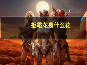 拒霜花是什么花