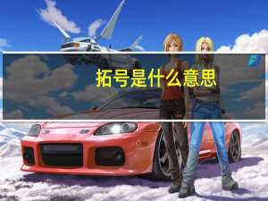 拓号是什么意思