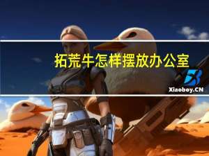 拓荒牛怎样摆放办公室