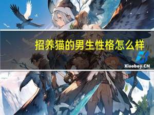 招养猫的男生性格怎么样