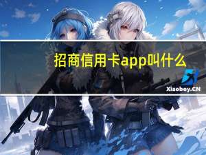 招商信用卡app叫什么