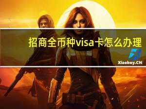 招商全币种visa卡怎么办理