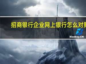 招商银行企业网上银行怎么对账（招商银行企业网上银行）