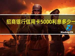 招商银行信用卡5000利息多少一天（招商银行信用卡利息是多少一天）