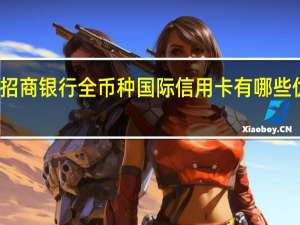 招商银行全币种国际信用卡有哪些优缺点（请举例说明）