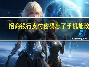 招商银行支付密码忘了手机能改吗（招商银行支付宝卡通）