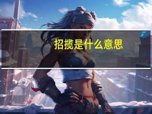 招揽是什么意思