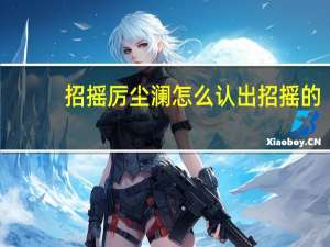 招摇厉尘澜怎么认出招摇的