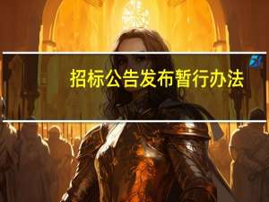 招标公告发布暂行办法