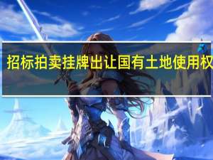 招标拍卖挂牌出让国有土地使用权规定