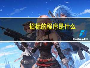 招标的程序是什么