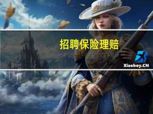 招聘保险理赔