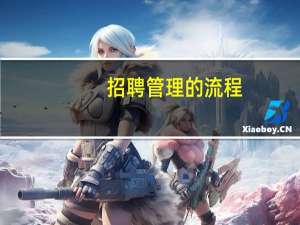 招聘管理的流程