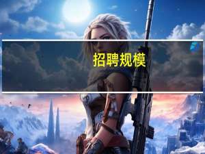 招聘规模