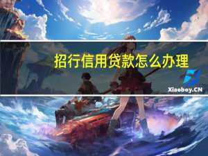 招行信用贷款怎么办理（招行信用贷款怎么开通）