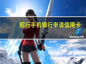 招行手机银行申请信用卡（招行信用卡如何通过手机银行客户端进行还款）