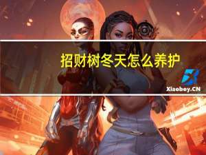 招财树冬天怎么养护