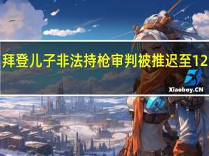 拜登儿子非法持枪审判被推迟至12月4日