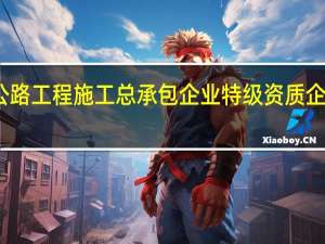 拥有公路工程施工总承包企业特级资质企业有哪几个