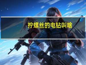 拧螺丝的电钻叫啥