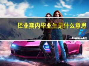 择业期内毕业生是什么意思