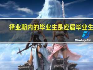 择业期内的毕业生是应届毕业生吗