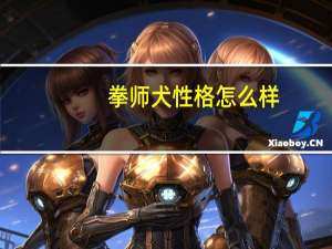 拳师犬性格怎么样