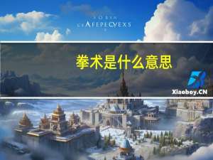 拳术是什么意思（拳术）