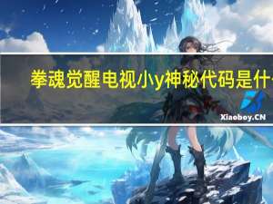 拳魂觉醒电视小y神秘代码是什么