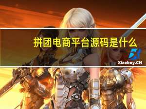 拼团电商平台源码是什么