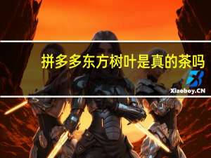 拼多多东方树叶是真的茶吗