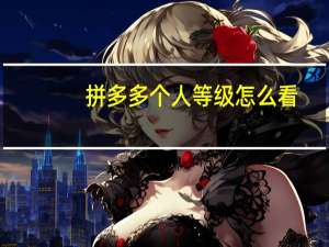 拼多多个人等级怎么看