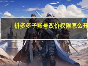 拼多多子账号改价权限怎么开（百度账号没有登录权限）