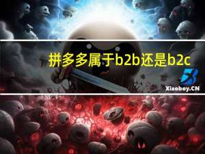 拼多多属于b2b还是b2c