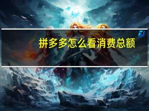 拼多多怎么看消费总额