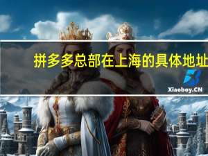 拼多多总部在上海的具体地址（央行上海总部级别）