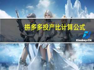 拼多多投产比计算公式