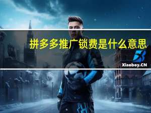 拼多多推广锁费是什么意思