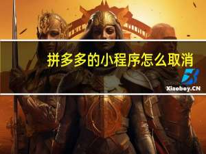 拼多多的小程序怎么取消