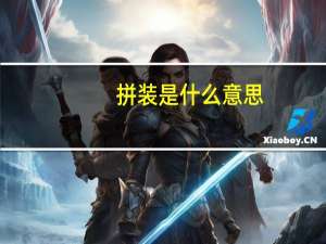 拼装是什么意思