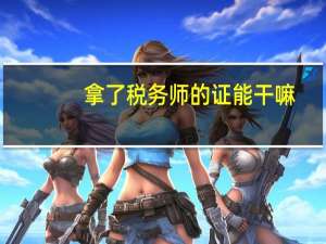 拿了税务师的证能干嘛