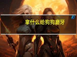 拿什么给狗狗磨牙