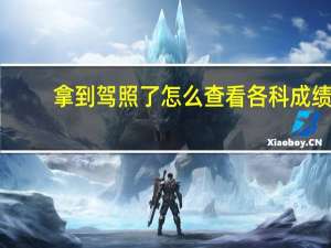 拿到驾照了怎么查看各科成绩
