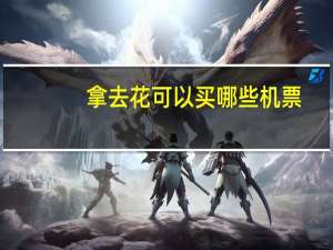 拿去花可以买哪些机票