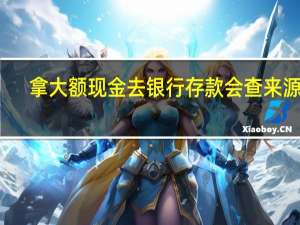 拿大额现金去银行存款会查来源吗