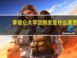 拿破仑大学区制度是什么意思
