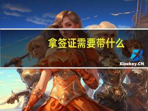 拿签证需要带什么