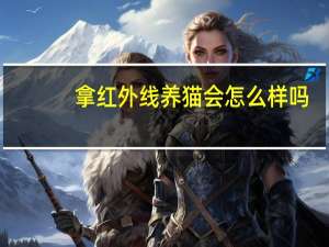 拿红外线养猫会怎么样吗