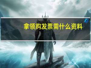 拿领购发票需什么资料