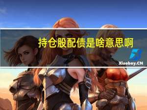 持仓股配债是啥意思啊（持仓股配债是啥意思）